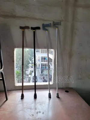 Walking Stick能讓stick Type: Single Point Height Adjustable: Yes