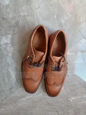 Aldo Men Shoe