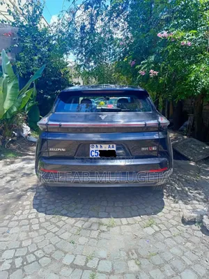 Hozon Neta U 2023 Brown