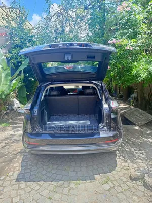 Hozon Neta U 2023 Brown