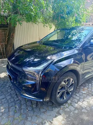 Hozon Neta U 2023 Brown