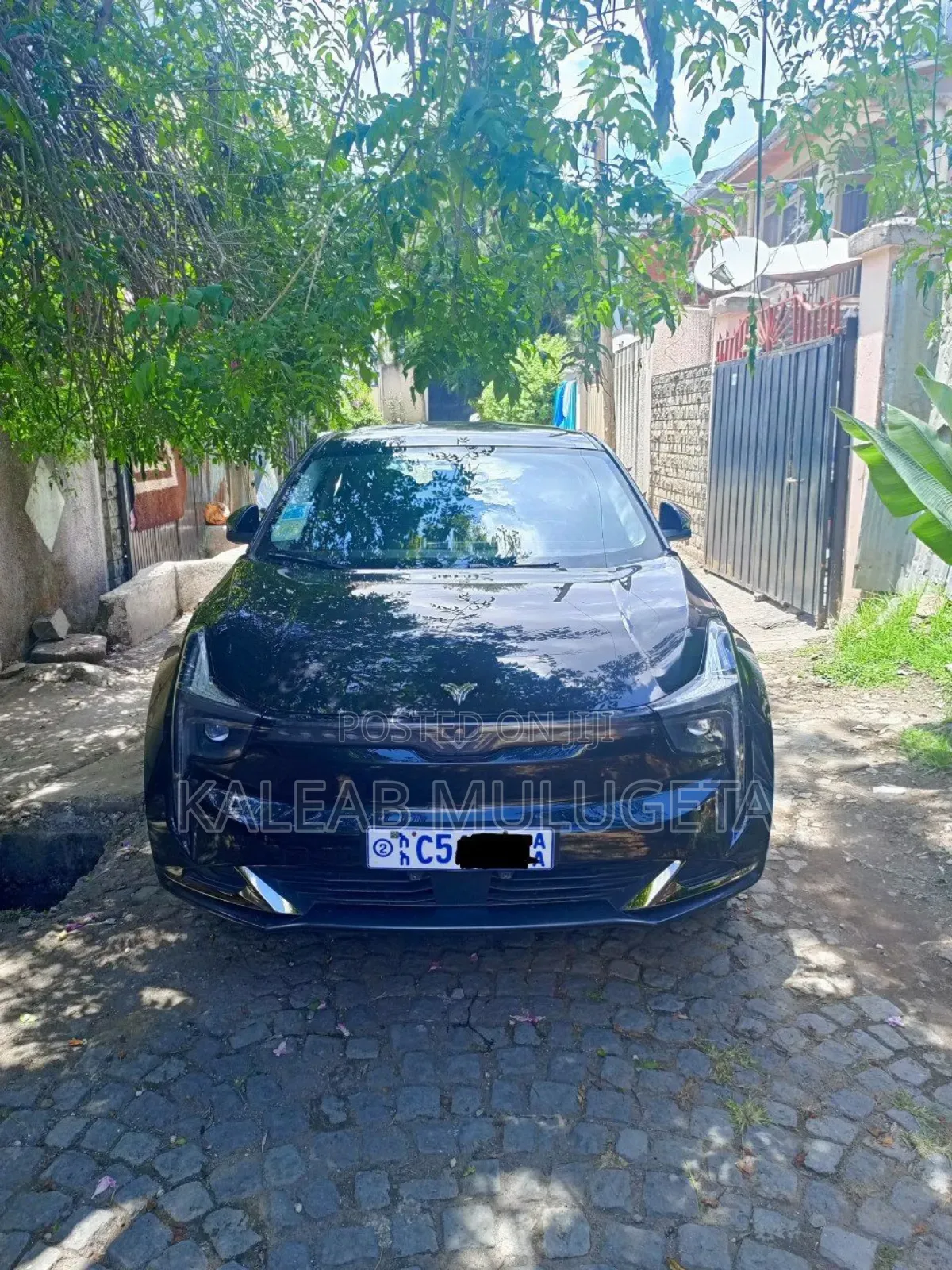 Hozon Neta U 2023 Brown