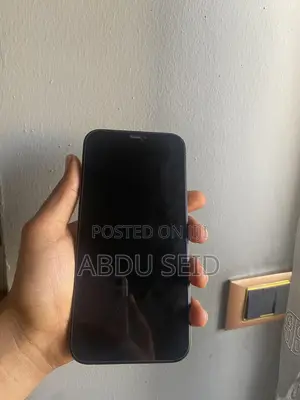 Apple iPhone 12 Pro Max 256 GB Green