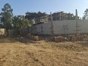 Commercial Land for Rent at Zenebe Werk