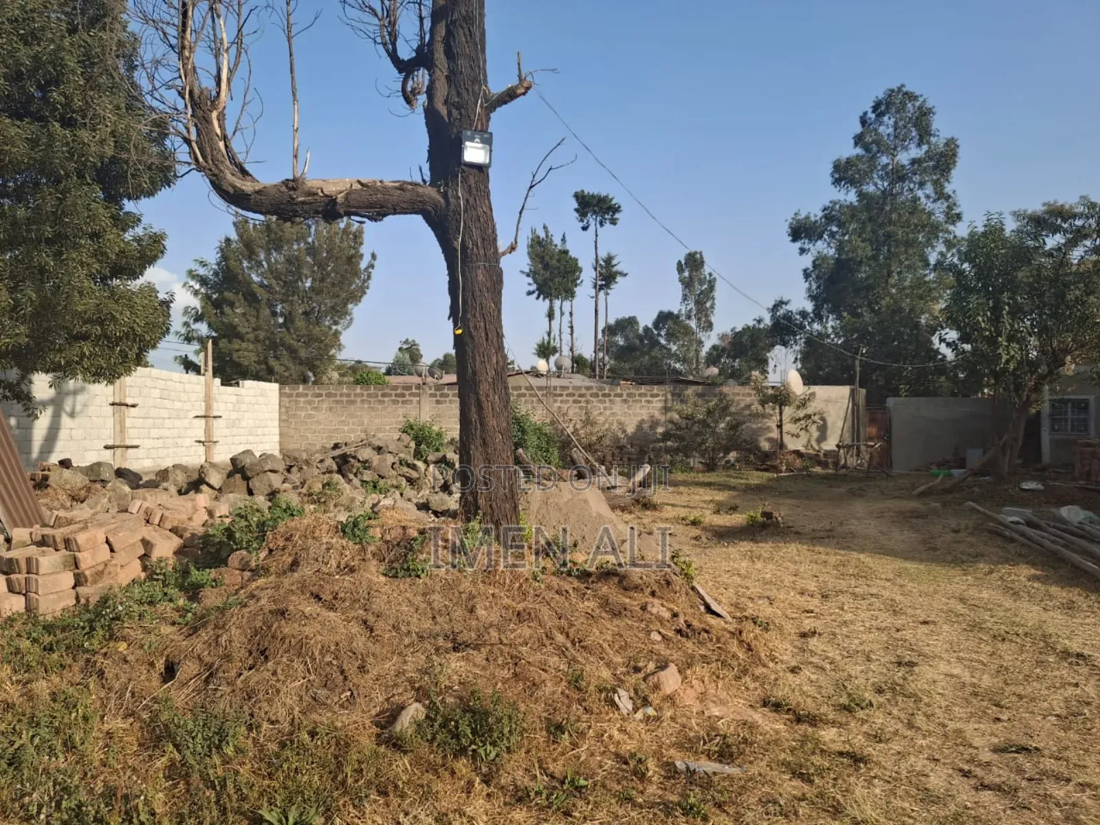 Commercial Land for Rent at Zenebe Werk