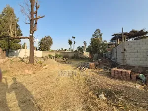 Commercial Land for Rent at Zenebe Werk