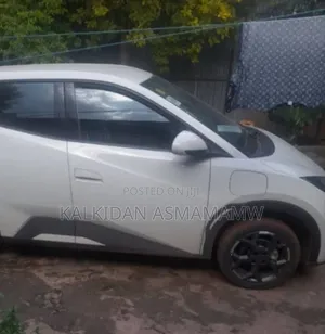 BYD Seagull 2025 White