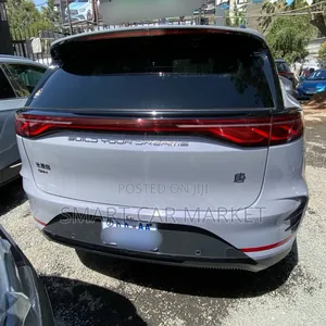 BYD Tang DM-i 2024