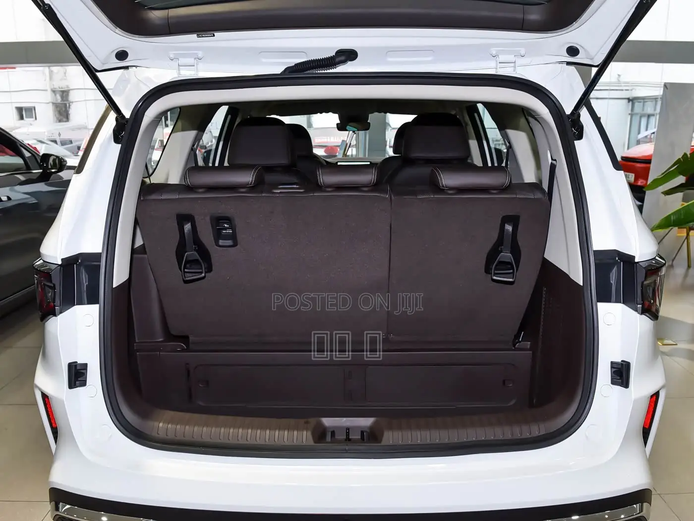 New Livan 8 2026 White