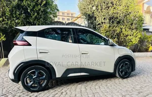 BYD Seagull 2024 Gray