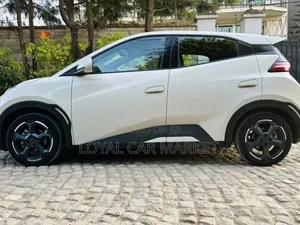 BYD Seagull 2024 Gray