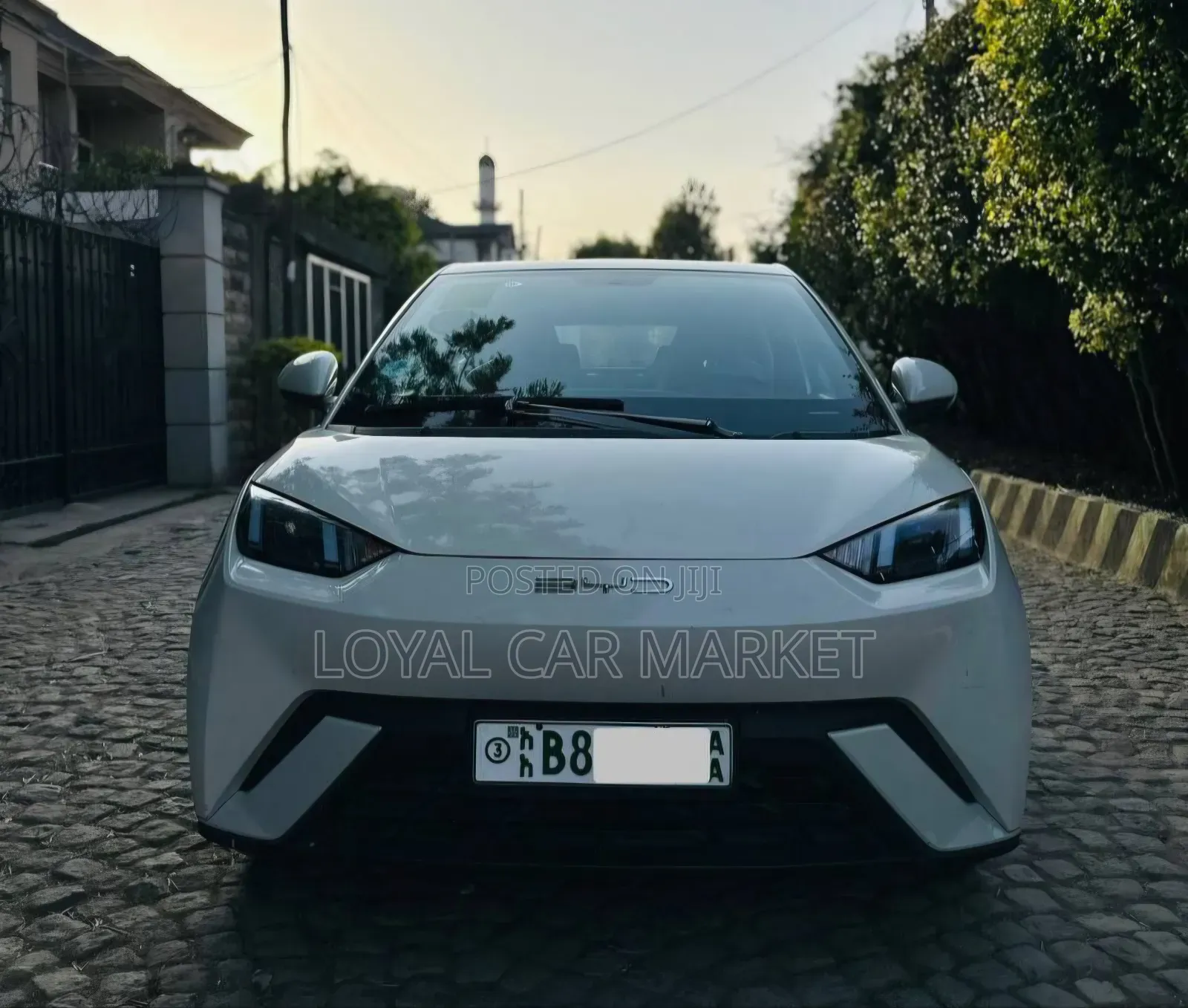 BYD Seagull 2024 Gray