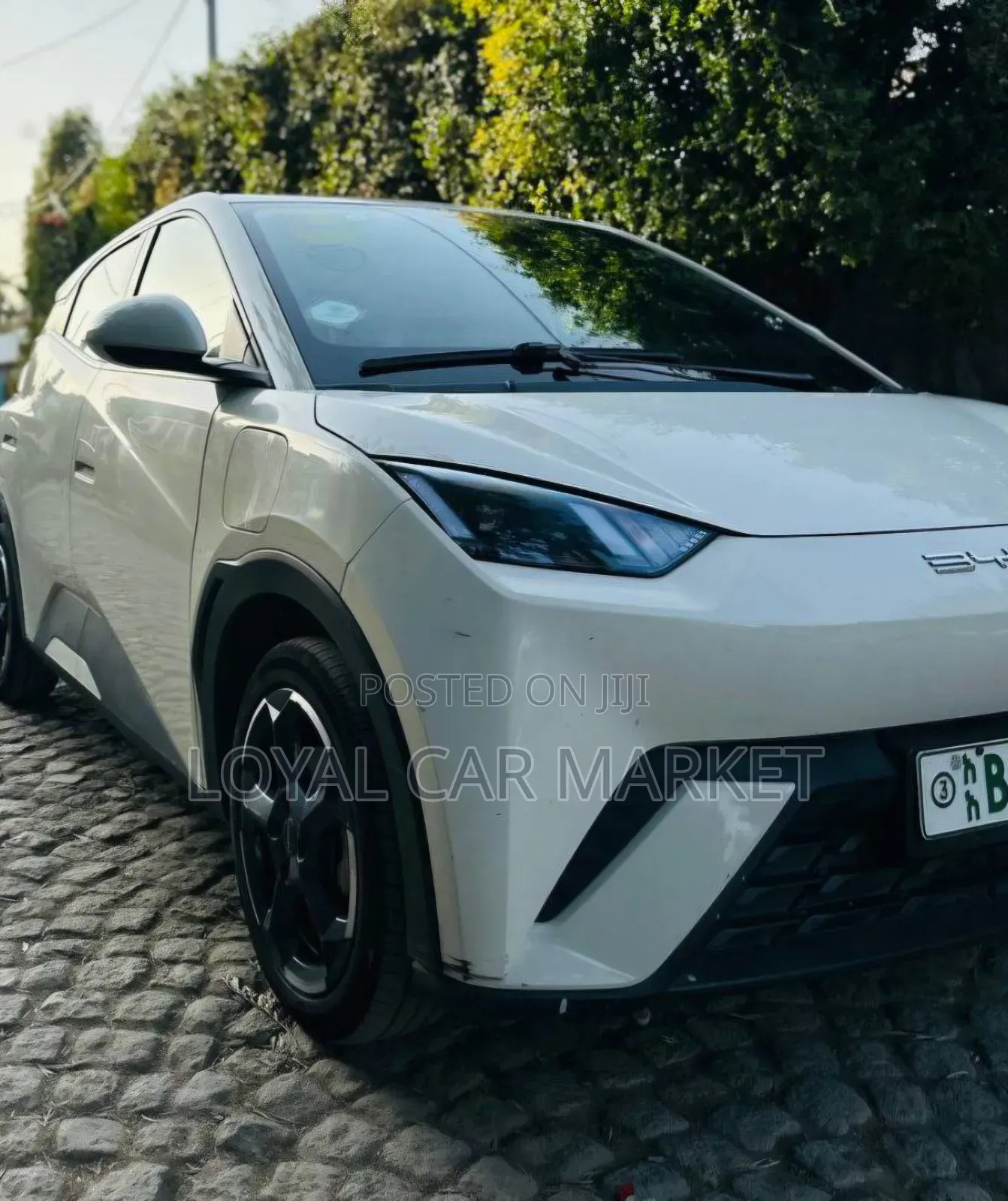 BYD Seagull 2024 Gray