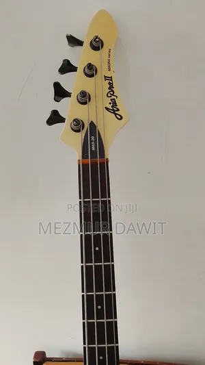 Bass Guitar