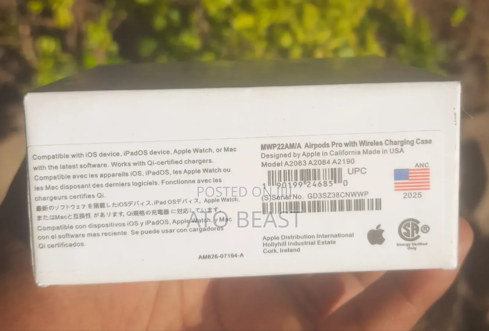 Apple Airpods Pro (1st Generation)