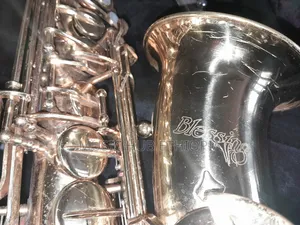 Blessing Alto Saxophone