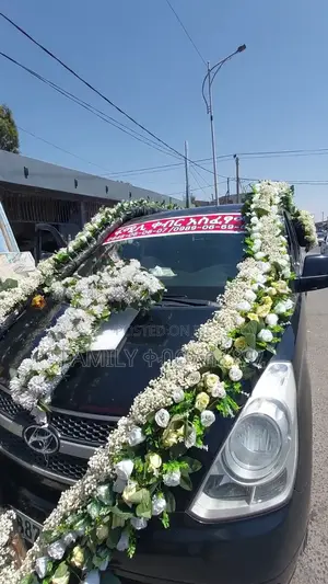 ቀብር አሰፈጻሚ Funeral