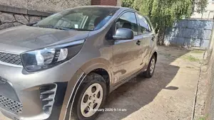 Kia Picanto 2020 Gray
