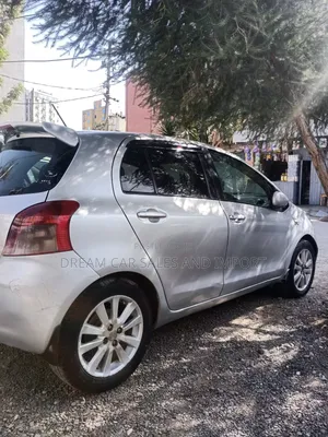 Toyota 4-Runner 2007 Silver