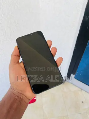 Apple iPhone 11 Pro Max 256 GB Gray