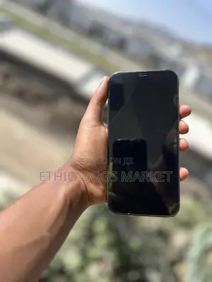 Apple iPhone 12 Pro Max 256 GB Gold