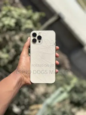 Apple iPhone 12 Pro Max 256 GB Gold