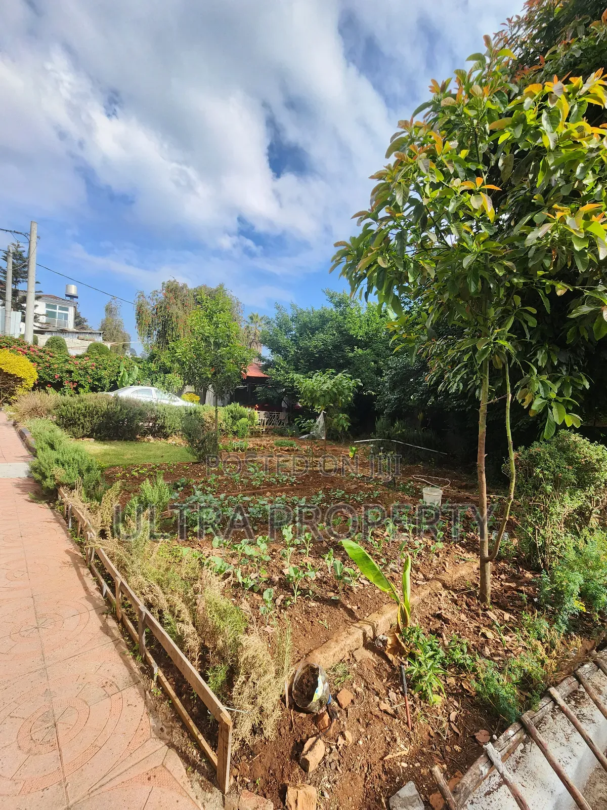 Furnished 3bdrm Villa in Bole for rent