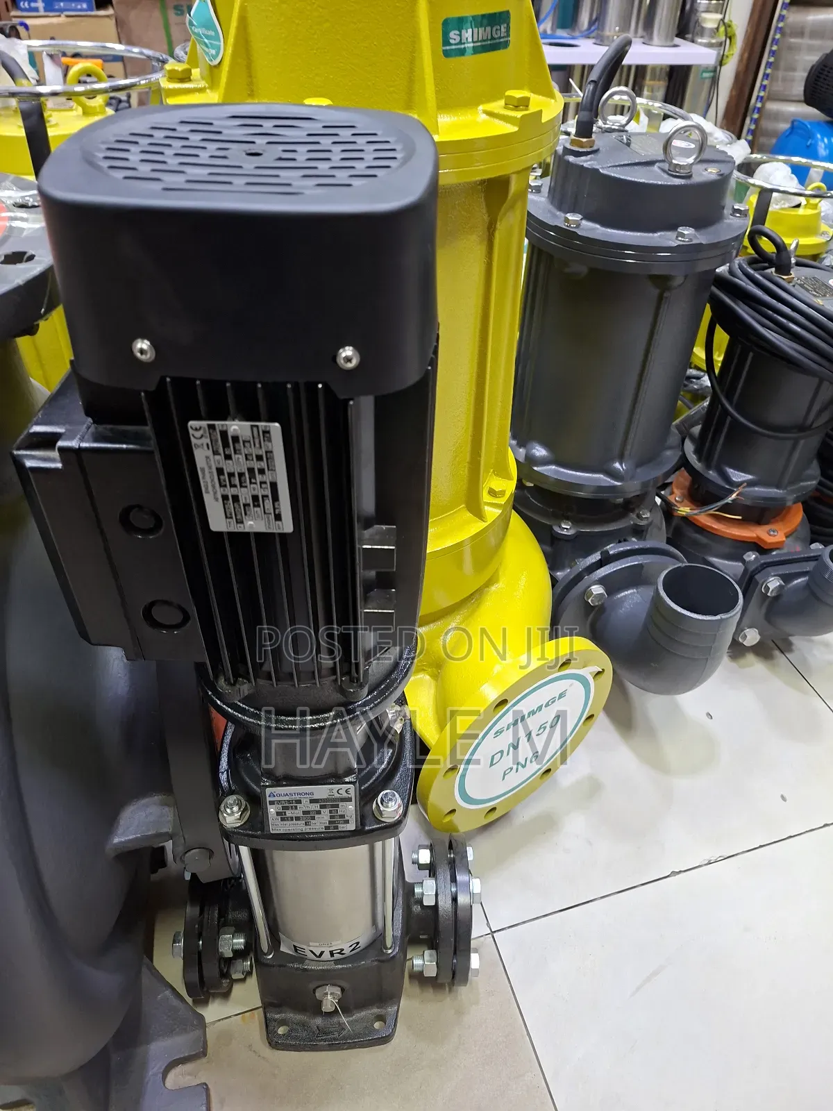 Aquastrong Vertical Pump