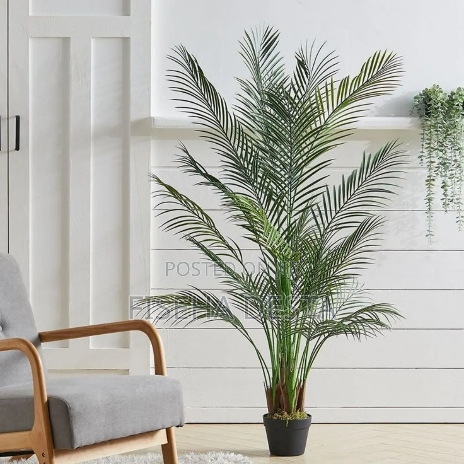 1.6m Artificial Palm Tree አርቴፊሻል ዛፍ