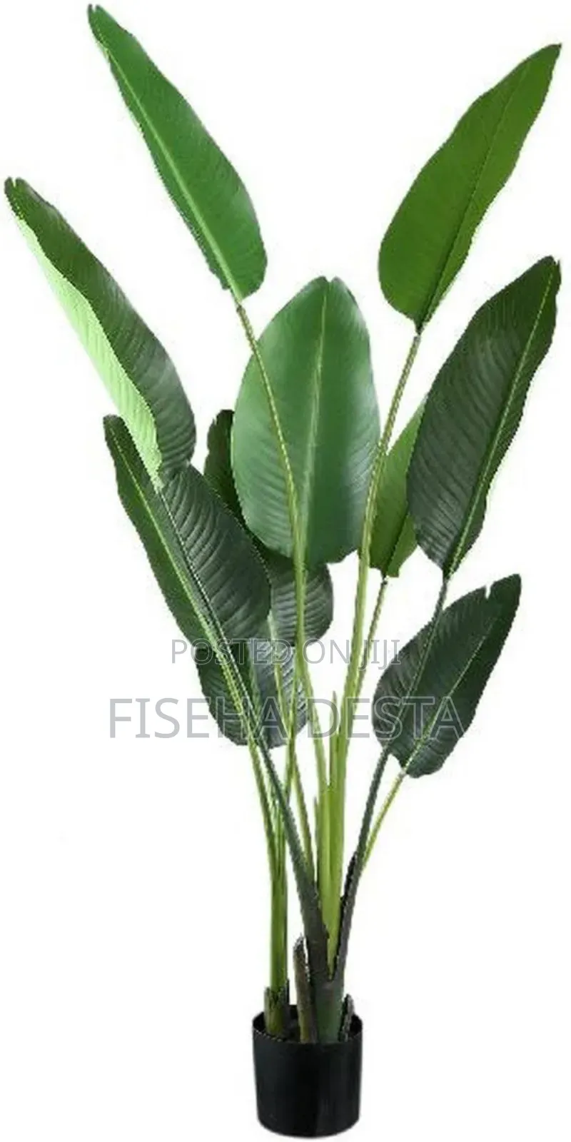 1.6m Artificial Tree (አርቴፊሻል ዛፍ)