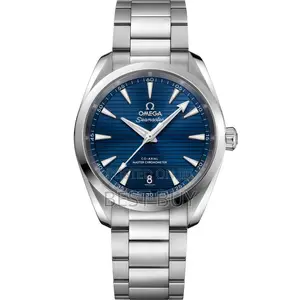Omega Seamaster Aqua Terra Watch