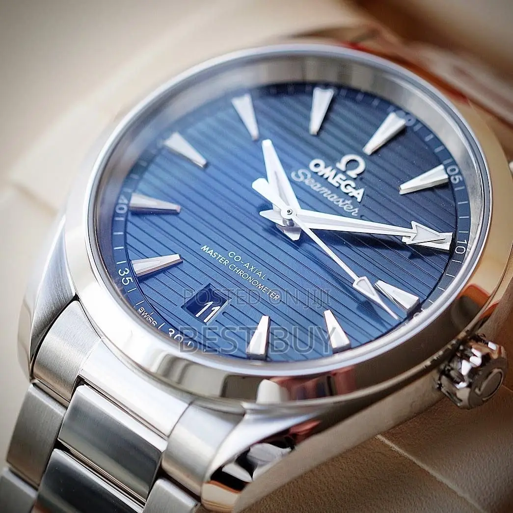 Omega Seamaster Aqua Terra Watch