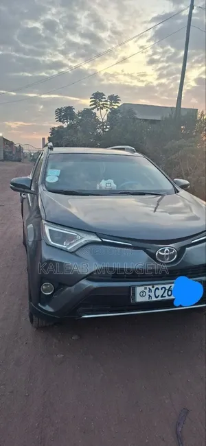 Toyota RAV4 LE AWD (2.5L 4cyl 6A) 2016 Brown