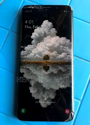 Samsung Galaxy S9 Plus 64 GB Black