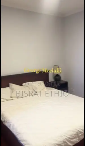 Furnished 3bdrm Apartment in Bole Olympia for sale