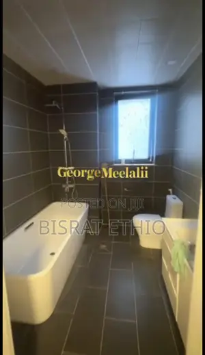 Furnished 3bdrm Apartment in Bole Olympia for sale