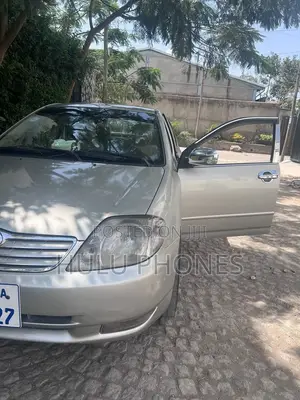 Toyota Corolla 2003 Gray