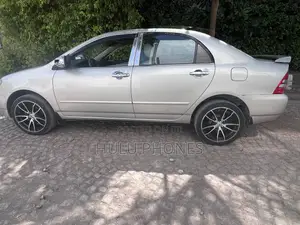 Toyota Corolla 2003 Gray