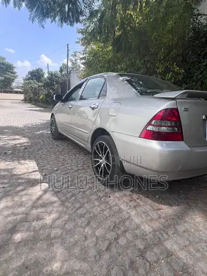 Toyota Corolla 2003 Gray