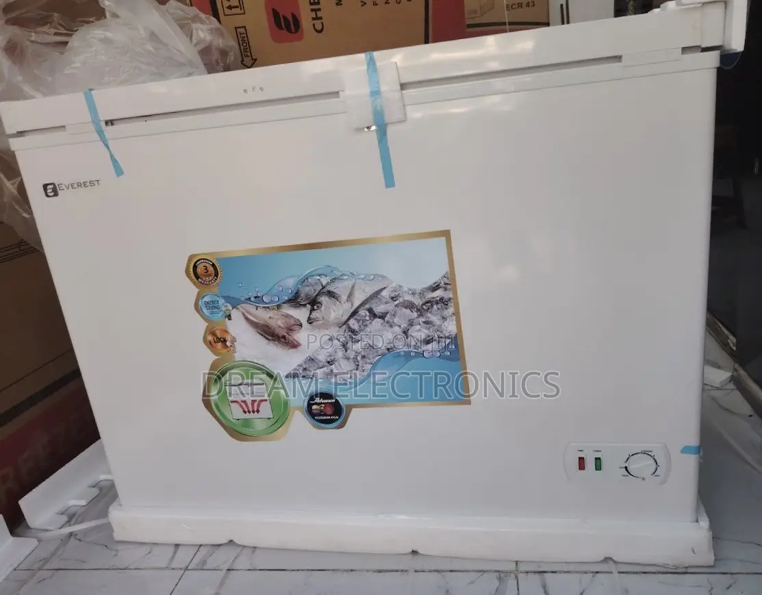 Everest Deep Freezer