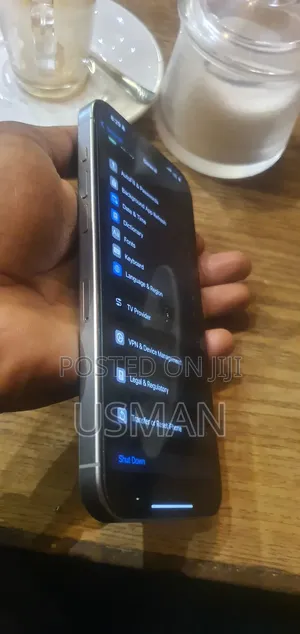 Apple iPhone 15 Pro Max 256 GB Silver