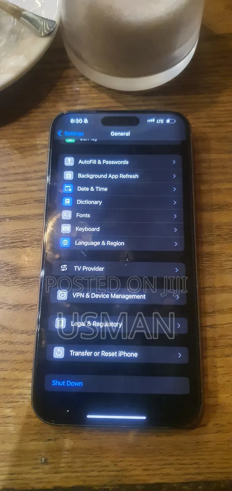 Apple iPhone 15 Pro Max 256 GB Silver