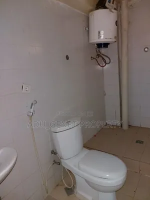 Furnished 3bdrm Condo in አራብሳ, Bole for sale