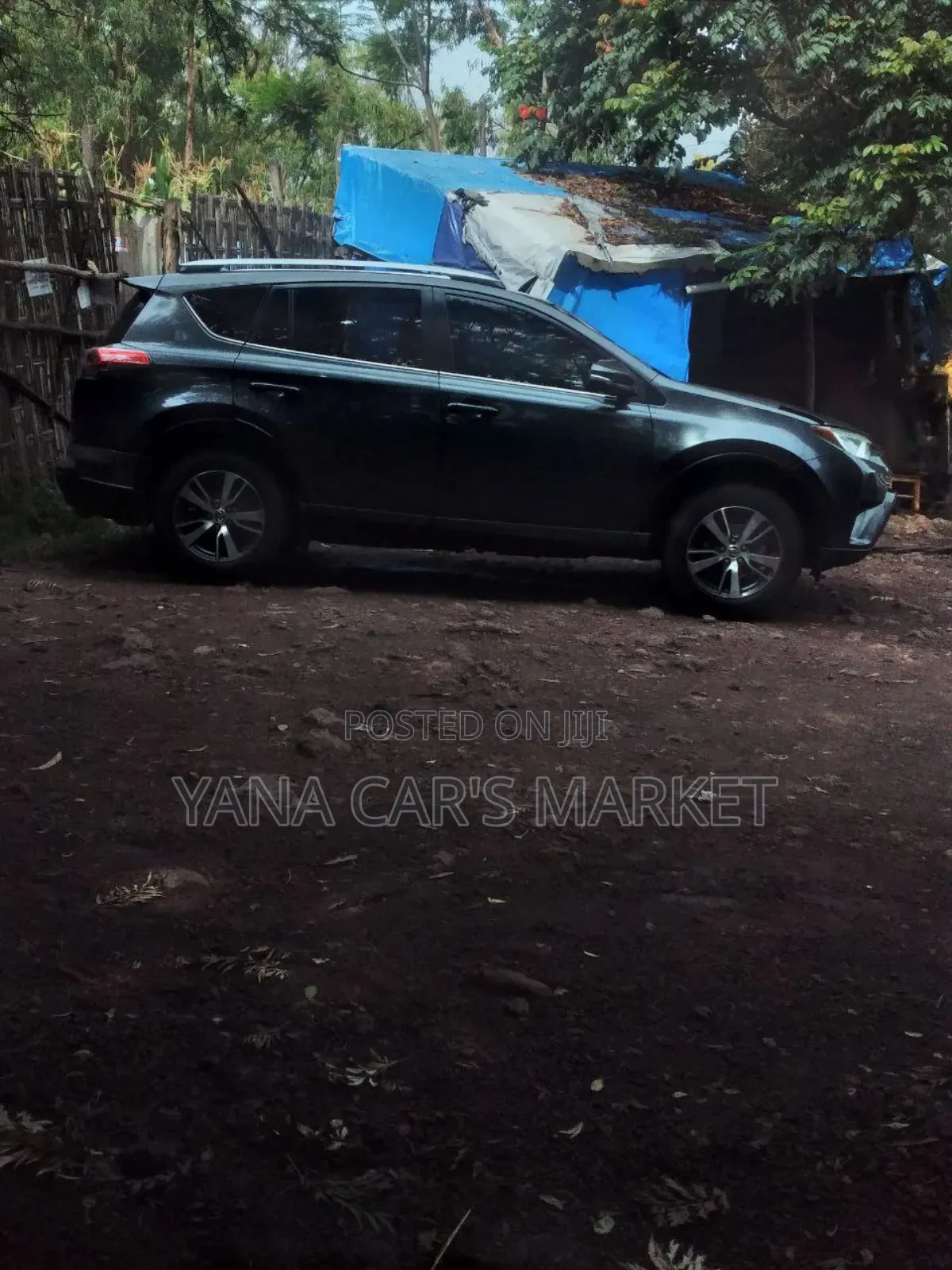 Toyota RAV4 2014 Black