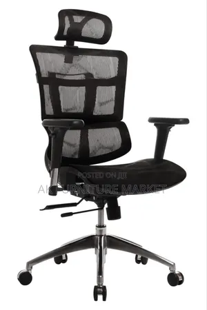 Big and Luxury Ergonomic Chair Full Mash