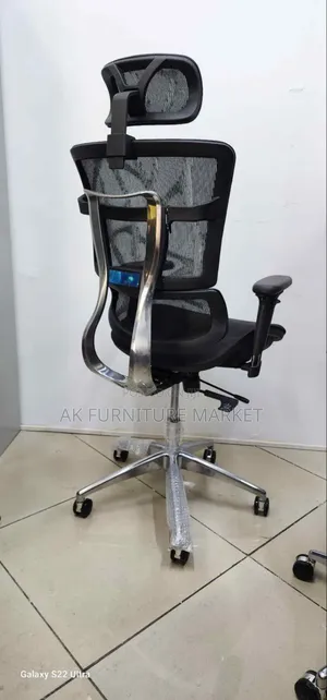 Big and Luxury Ergonomic Chair Full Mash