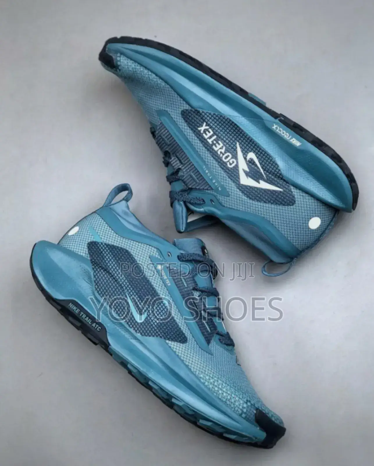 Nike Pegasus Trail Gore-T3x Blue Fashion Sneaker
