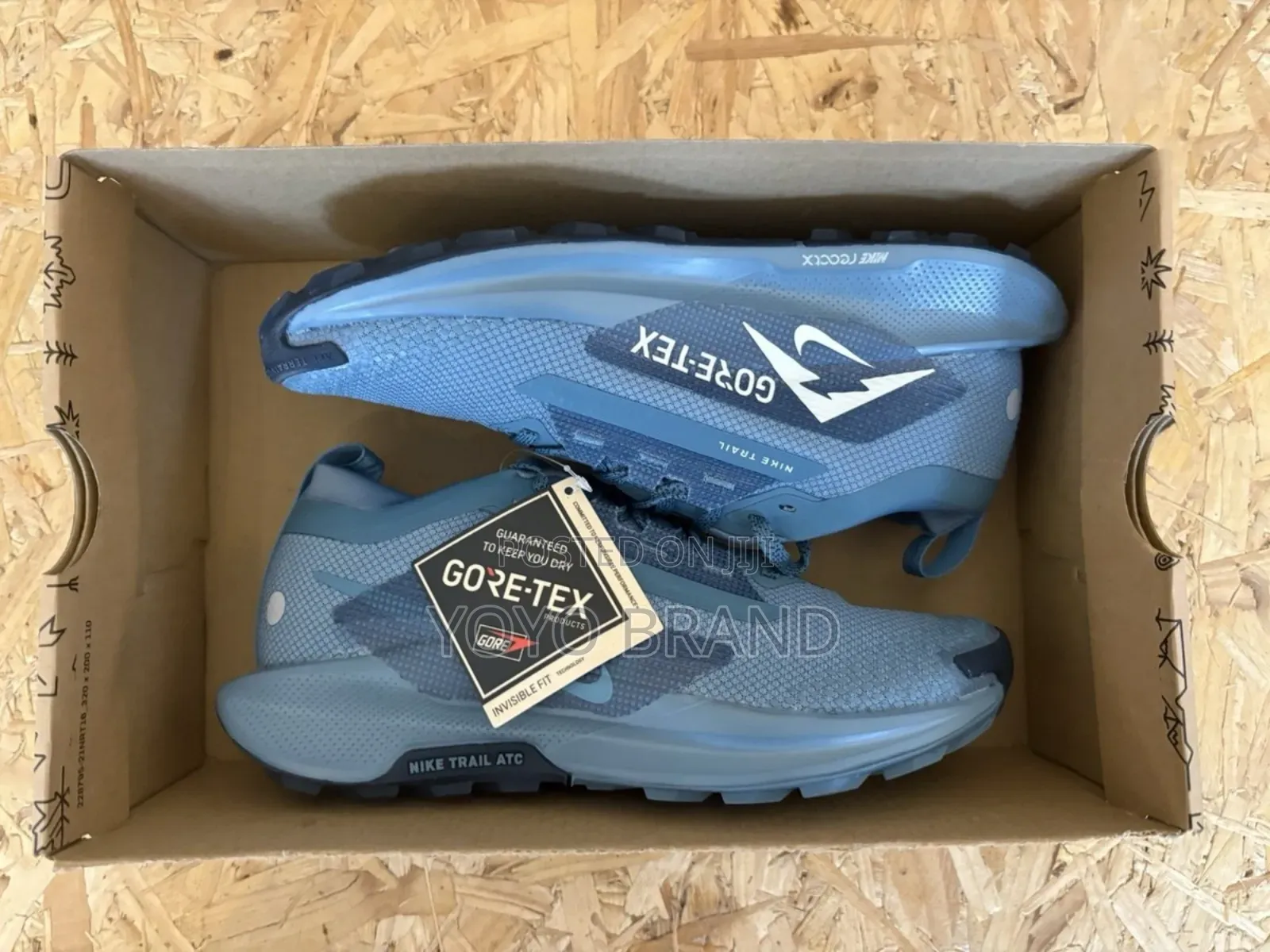 Nike Pegasus Trail Gore-T3x Blue Fashion Sneaker