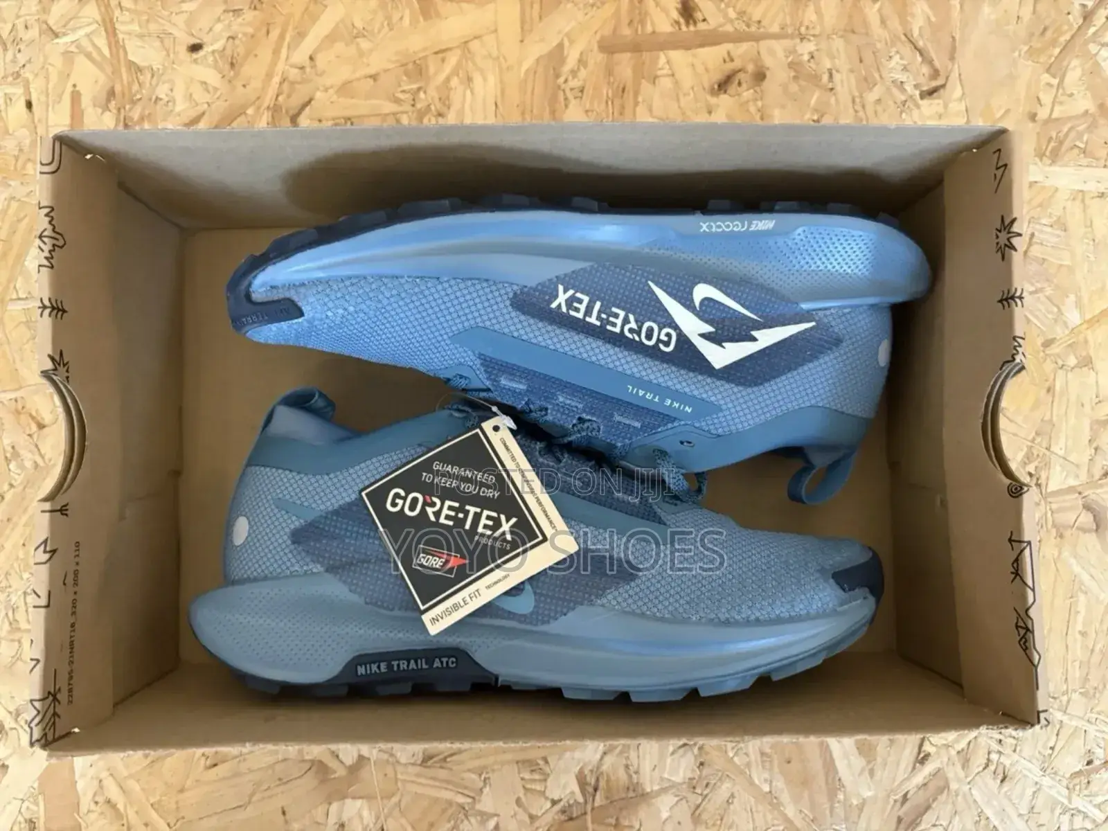 Nike Pegasus Trail Gore-T3x Blue Fashion Sneaker