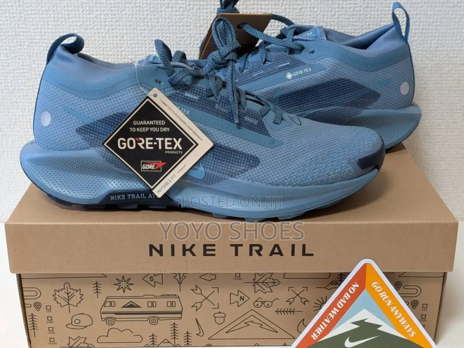 Nike Pegasus Trail Gore-T3x Blue Fashion Sneaker